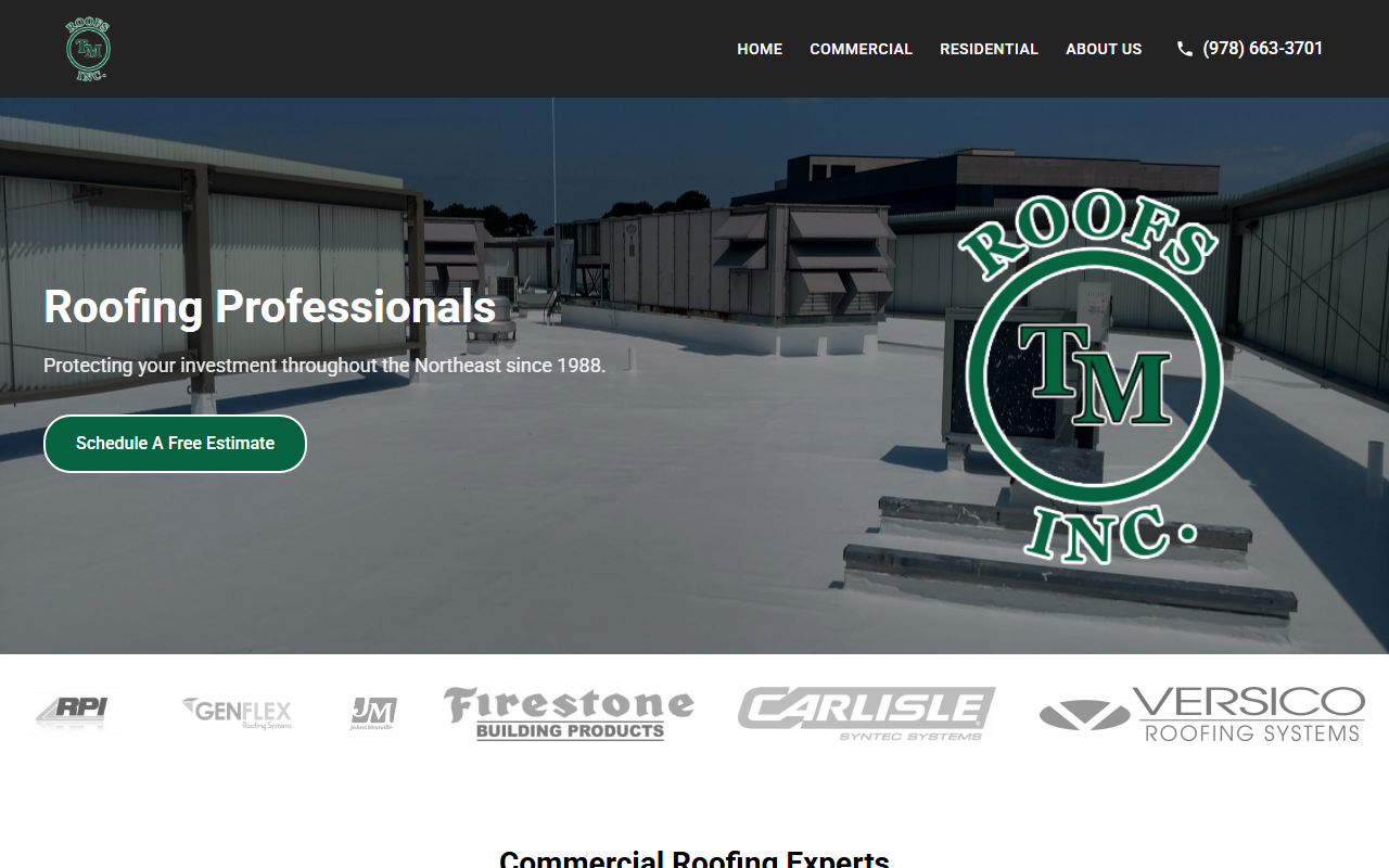 TM Roofs Inc website screenshot