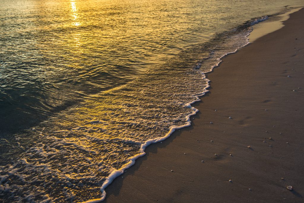 Lapping At The Shores