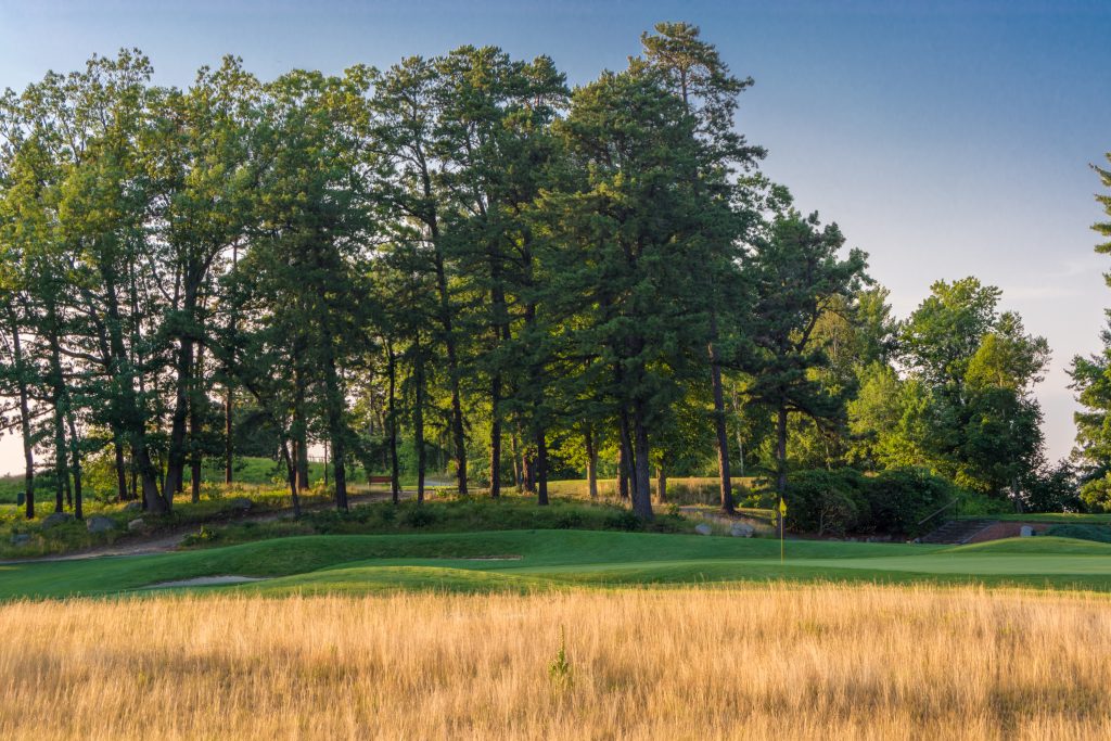 Fescue On Five