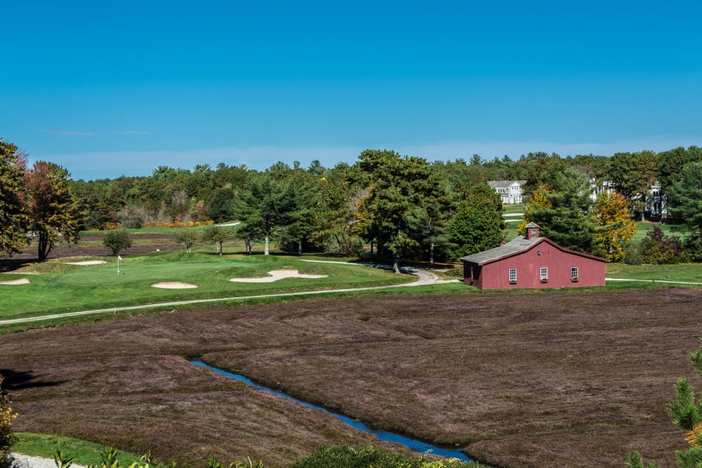 Over The Bog For Birdie