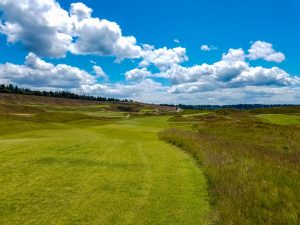 Got fescue? Got fescue?