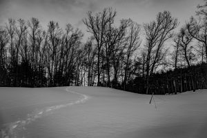 Solo Winter Snowshoe Solo Winter Snowshoe